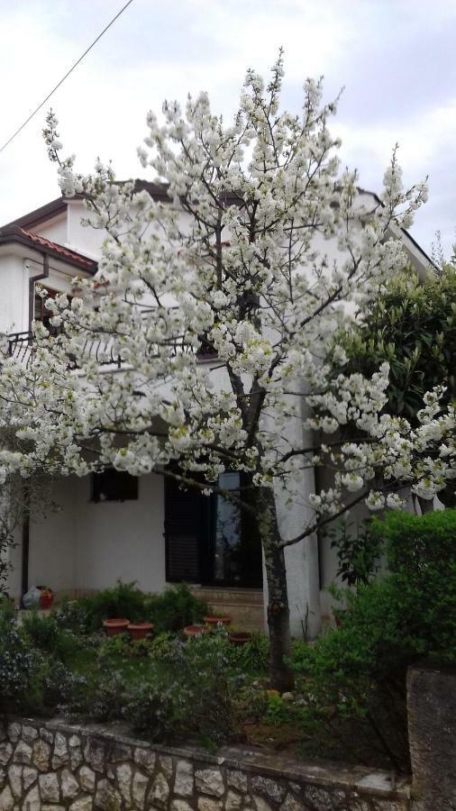 Apartment Draga 17 Njivice Εξωτερικό φωτογραφία